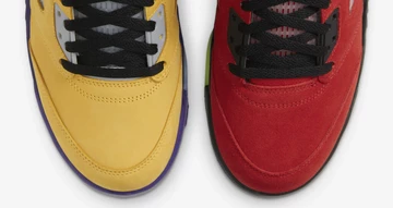 Nike Air Jordan 5 What The