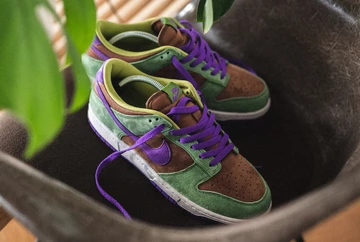 Nike Dunk Low Veneer Loobook von Oben auf einem Stuhl