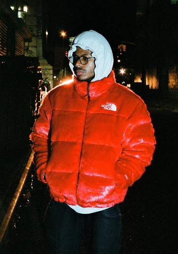 Supreme x TNF faux fur collection