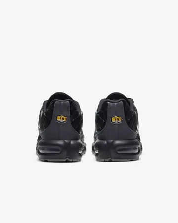 Nike Air Max Plus Metal Frame