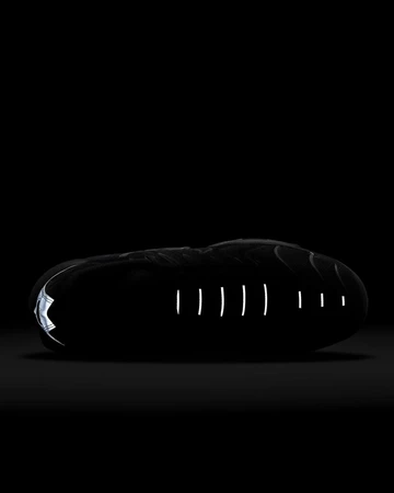 Nike Air Max Plus Metal Frame