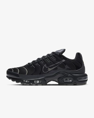 Nike Air Max Plus Metal Frame