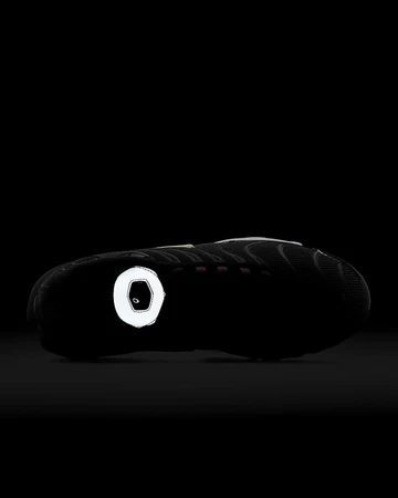 Nike Air Max Plus EOI