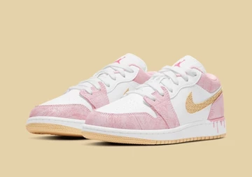 Jordan 1 Low Arctic Punch CW7104-601