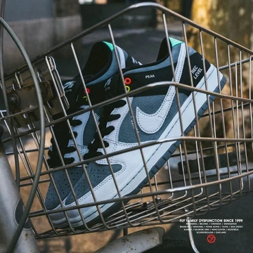 Nike SB Dunk Camcorder - coming soon