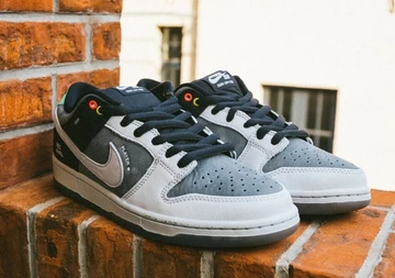 Nike SB Dunk Camcorder Low