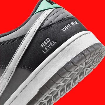 Nike SB Dunk Camcorder