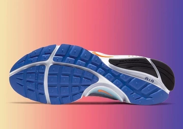 Nike Air Presto Rainbow