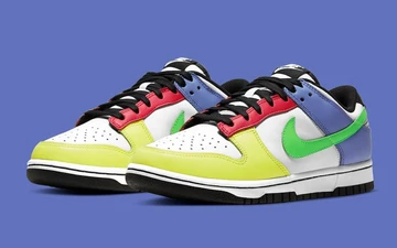 Nike Dunk Low Multicolor DD1503-106