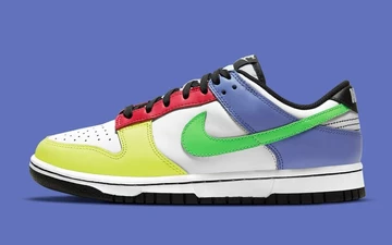 Nike Dunk Low Multicolor DD1503-106