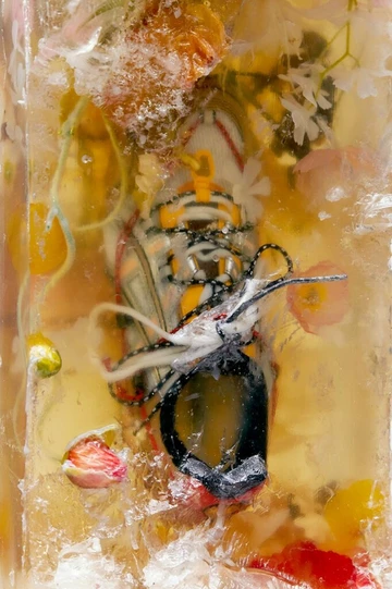 Andersson Bel x ASICS Gel 1090 Orange 1203A115-005