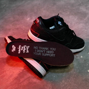 Wasted Youth x Nike SB Dunk Low DD8386-001