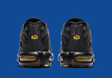 Nike SB x Air Max 95 Cactus Flower