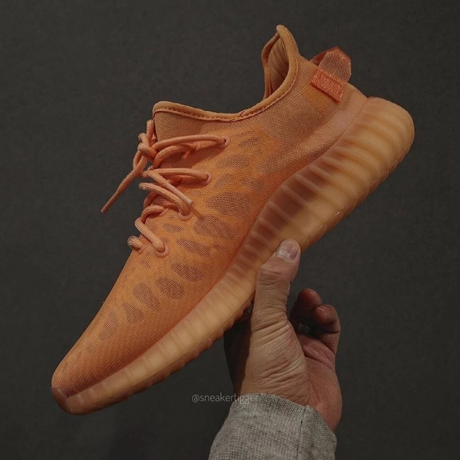 Yeezy 350 V2 Mono Clay GW2869 | Dead Stock