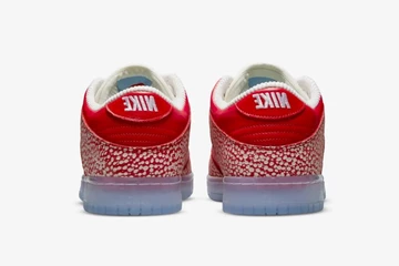 Stingwater x Nike SB Dunk Magic Mushroom