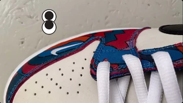 Parra Nike SB Dunk