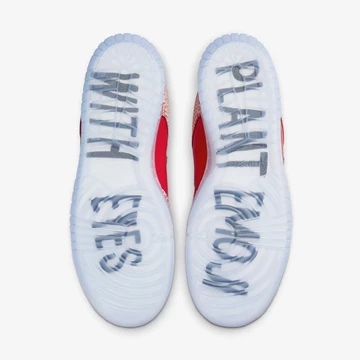 Stingwater x Nike SB Dunk Magic Mushroom