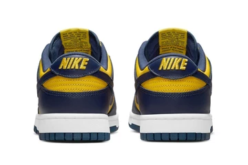 Nike Dunk Low Michigan DD1391-700