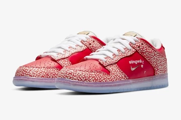 Stingwater x Nike SB Dunk Magic Mushroom