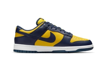 Nike Dunk Low Michigan DD1391-700