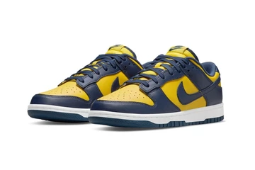 Nike Dunk Low Michigan DD1391-700