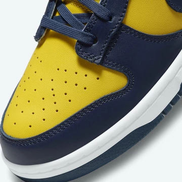 Nike Dunk Low Michigan DD1391-700