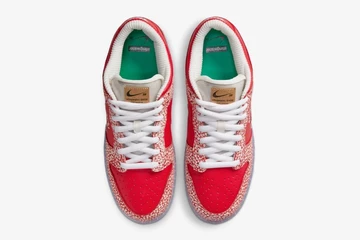 Stingwater x Nike SB Dunk Magic Mushroom