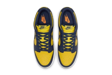 Nike Dunk Low Michigan DD1391-700