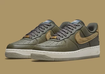 Air Force 1 Turtle