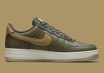 Air Force 1 Turtle