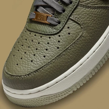 Air Force 1 Turtle