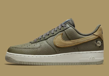 Air Force 1 Turtle
