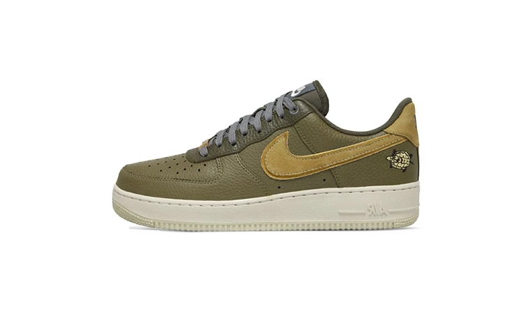 Air Force 1 Turtle