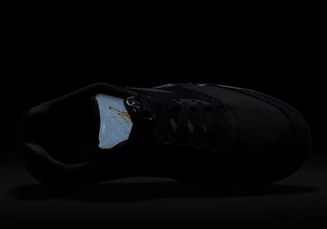 Jordan 5 Low Class Of 2021