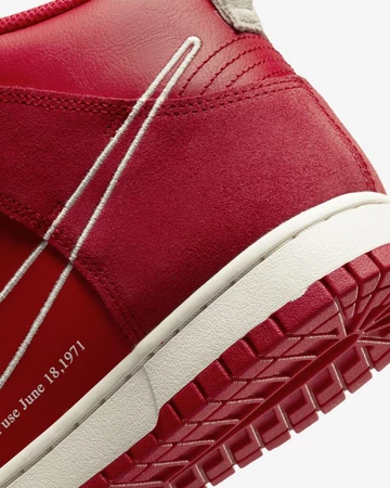 Nike Dunk High First Use Red