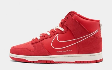 Nike Dunk High First Use Red