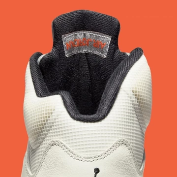 Jordan 5 Shattered Backboard