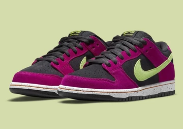 Nike SB Dunk Low ACG Red Plum
