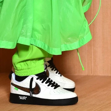 Louis Vuitton Air Force 1