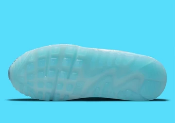 Air Max 90 Rice Ball