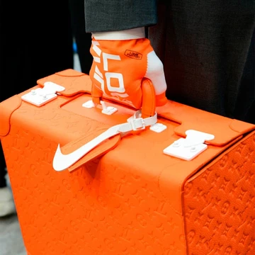 Louis Vuitton Air Force 1