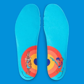 Space Jam LeBron 18 Roadrunner x Wile E. Coyotes