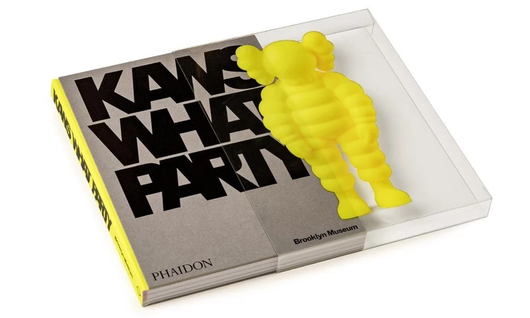 KAWS WHAT PARTY Phaidon Buch