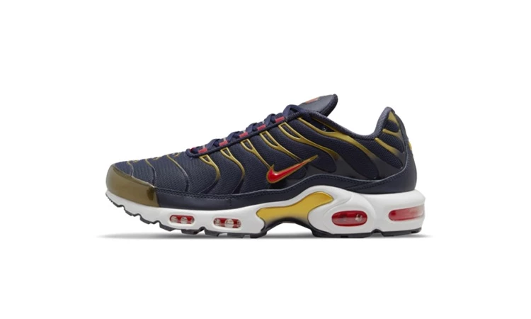 Nike Air Max Plus Obsidian Dead Stock