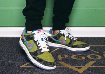 Nike Dunk Low Siempre Familia - on feet