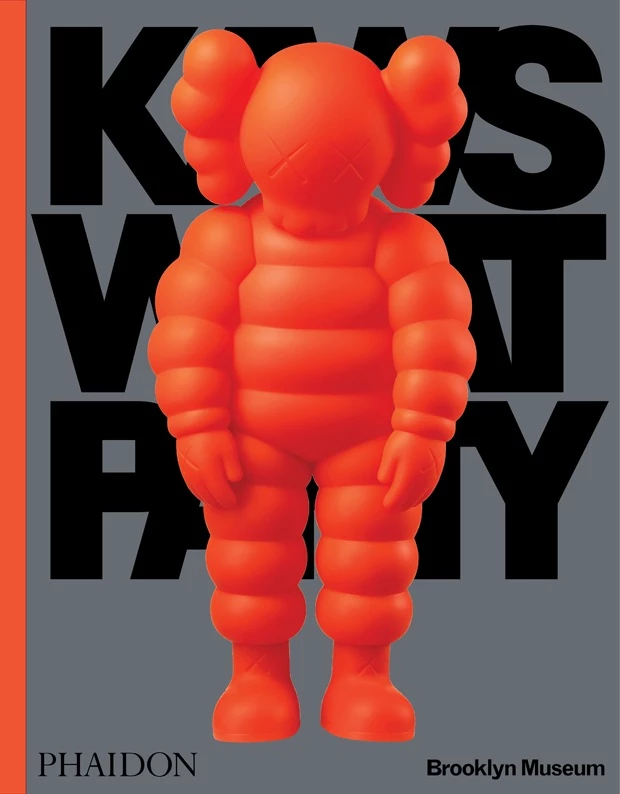 kaws-what-party-phaidon-buch-