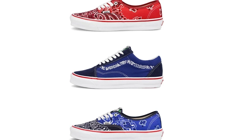 Bedwin & The Heartbreakers x Vans