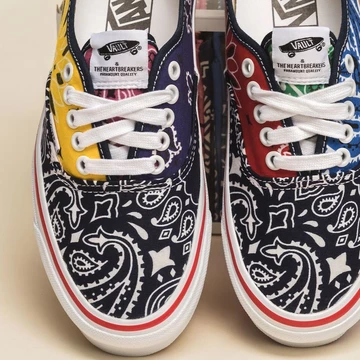 Bedwin & The Heartbreakers x Vans