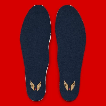 Nike Air Max Plus Obsidian