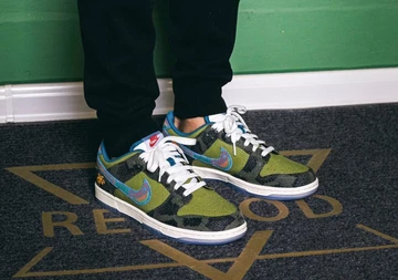 Nike Dunk Low Siempre Familia - on feet